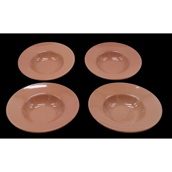 VHTF Pier 1 Imports Nutmeg Spice Wide Rim 9" Soup Salad Bowls Set-4 *RARE EUC* - Picture 2 of 10